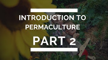 Intro to Permaculture Part 2 - Needs and Yields and Creating Interactive Diversity In Your Designs