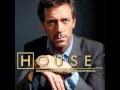 Dr House MD Original Tv Soundtrack - Good Man
