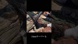 マキタの小型チェーンソー使ってみた！