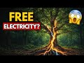 Trees Are Secret Electrical Machines — The Hidden Physics Running Through Nature