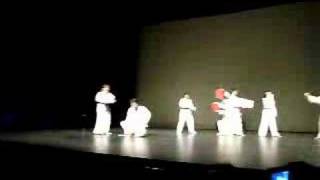 Combined Martial Arts 2007 - NUS Taekwondo - Part 7