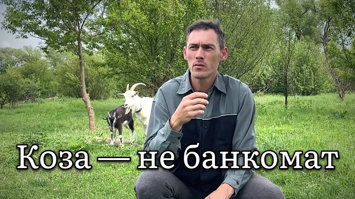 Чи вигідно тримати кіз? Говорю, як є — без прикрас.