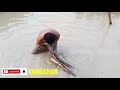 A Documentary Film  // পাটা ৰছী উৎপাদন  // Assam // Agricultural Activity // Goalpara // RHAC