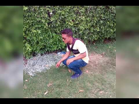 شوف اللي مشرف نفسه بنفسه