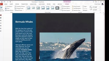 Create a Photo Pop Effect in Powerpoint