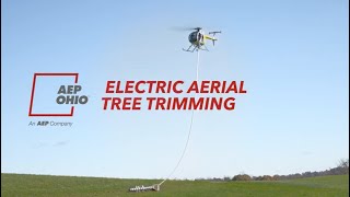 Electric Aerial Tree Trimming