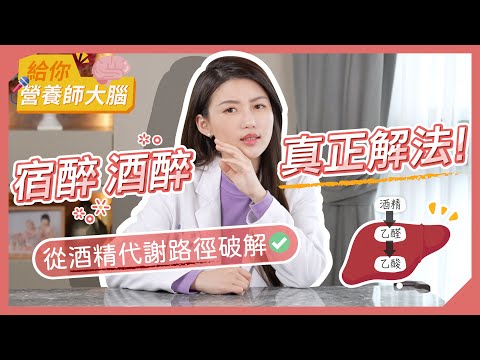 宿醉  酒醉 真正解法！從酒精代謝路徑破解 ｜營養師的大腦