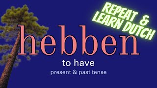 hebben - to have - present & past tense REPEAT & LEARN DUTCH