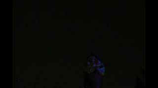The Garden Gnome Under the Stars