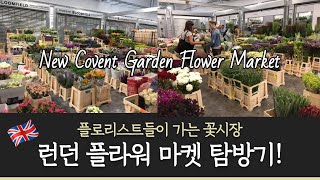런던 플라워 마켓 탐방🌼 플로리스트가 가는 꽃시장, 꽃 유학 (New Covent Garden Flower Market London)
