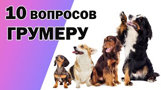 ПРАВИЛА УХОДА ЗА СОБАКОЙ. 10 ВОПРОСОВ ГРУМЕРУ.