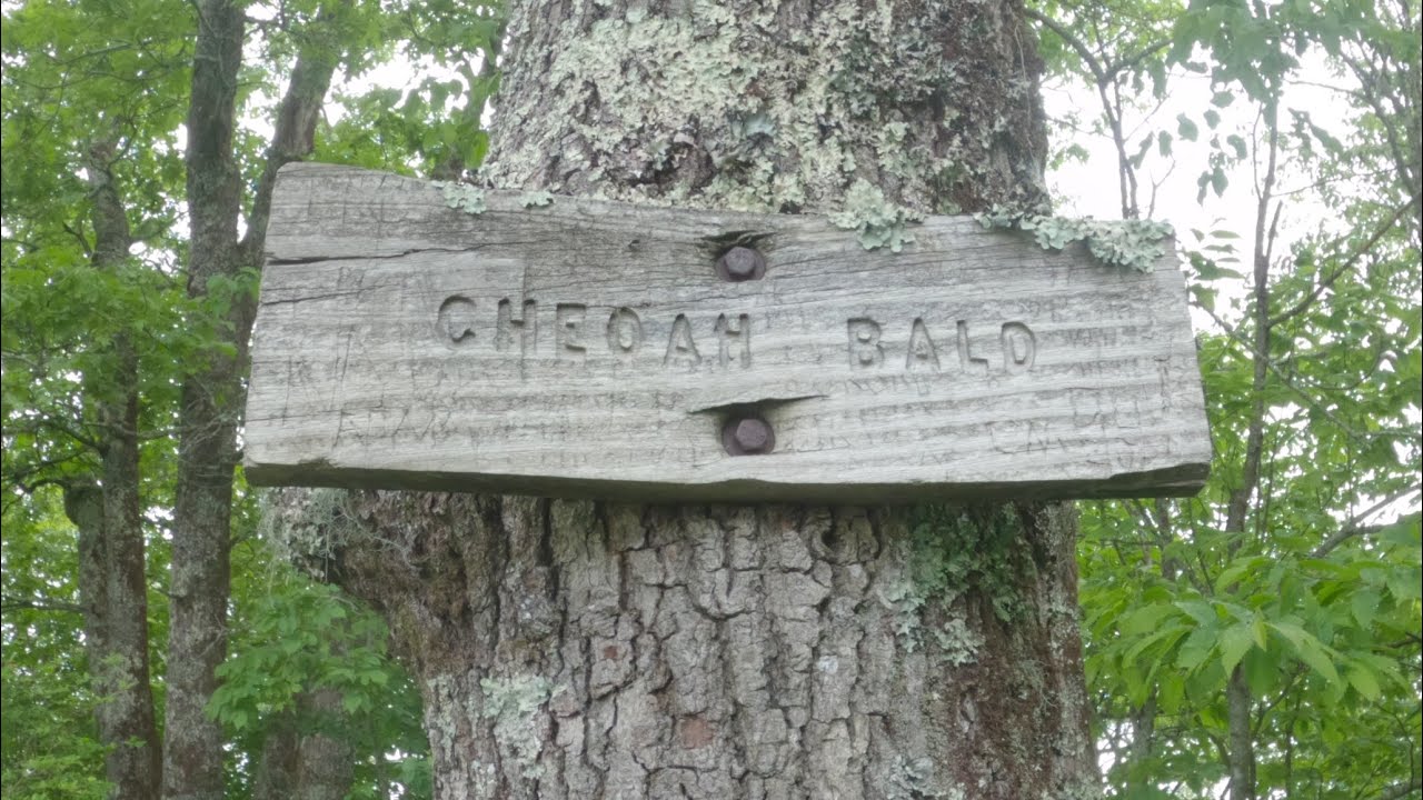 Cheoah Bald @ 5,062 ft. / 