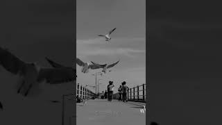 viral video #pakshi 1M