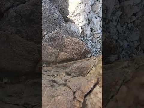 Video: Berdske stijene - spomenik prirode u regiji Novosibirsk