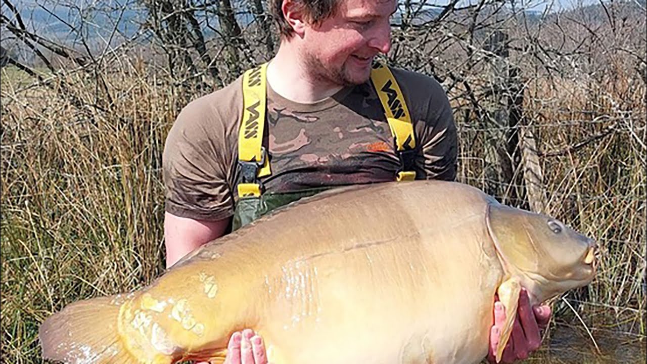 Update New The Carpy Cast - 31-03-2022 - BIG CARP up to 64lb from Gaulois this week!