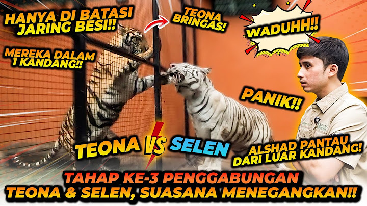 PROGRAM PENGGABUNGAN SELEN TEONA TAHAP 3 ! MOMEN2 MENEGANGKAN BIKIN ALSHAD PANIK !!