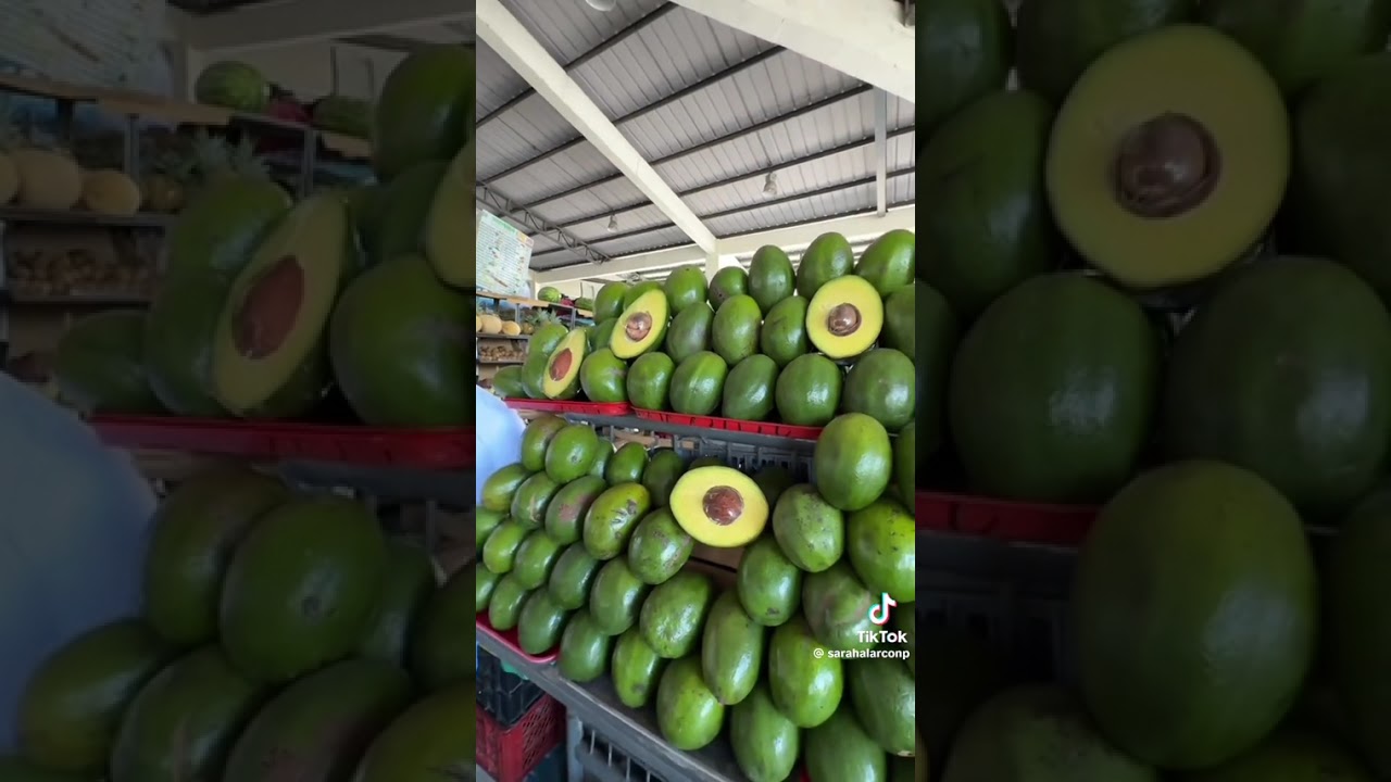 SARAH ALARCÓN REGATEANDO EN MERCADO SAUCES 9