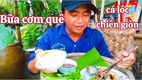 Bữa cơm quê, cá lóc chiên giòn, #netquevn  #cuocsongque  #bakhiatv #28