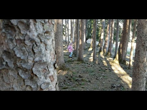 outdoor ASMR | Adventures To The Pinecone Forest, Bittersweet Crunching