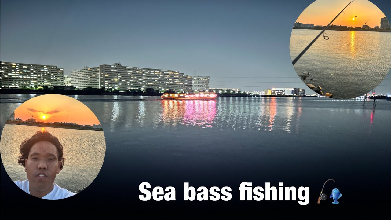 जापनिज दाई सगॅं वल्सी खेल्न गईयो // シーバス釣り🎣行ってきましした