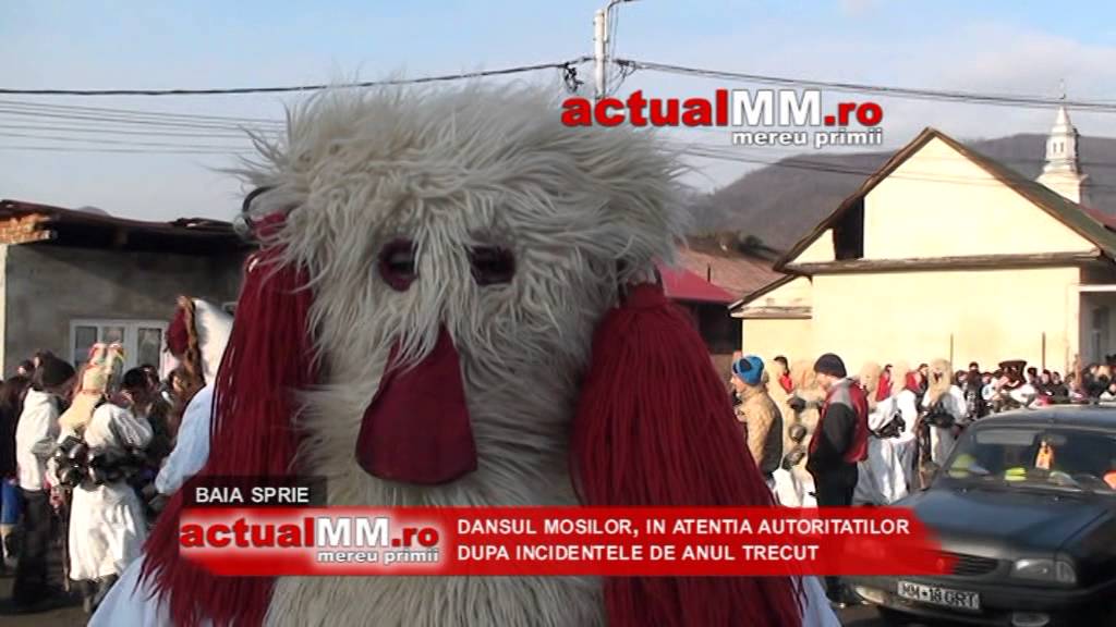 dansul mosilor baia sprie actualmm