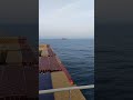 ship job life