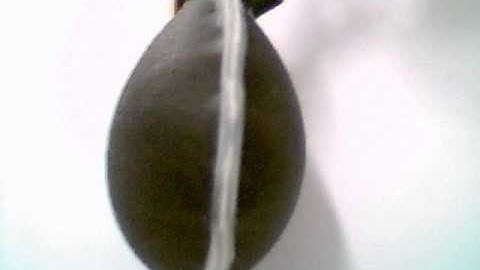 Electrically deformable chamber for fluid pumping made of dielectric elastomer actuator