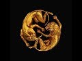 BROWN SKIN GIRL - Beyonce ft. WizKid, Saint Jhn and Blue Ivy Carter