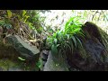 Upper Waikani Falls aka Three Bears, Road to Hana, Maui, Hawaii Mp3 Song