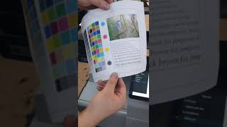 신도 D450 카운터페이지, 데모페이지, 소모품 잔량, IPV4주소 확인하는법
