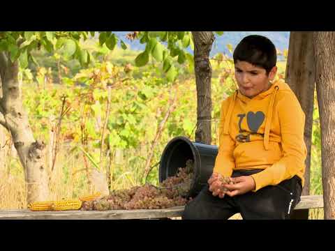 \"არწივი ვნახე დაჭრილი\" ლექსო ხანჯალიაშვილი • სოფ.ართანა(თელავი)