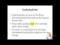 Nutrition 06