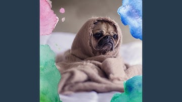 Pulsating Backdrops for Calming Doggies