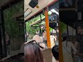 #facts #comedy #funny #love #singapore #singaporeblogger #singaporezoo