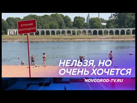 Новгородцы продолжают посещать