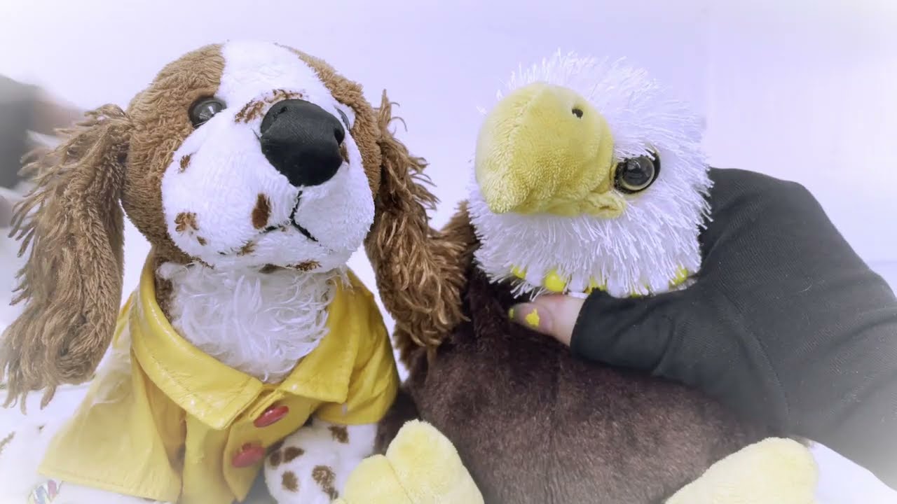 「Webkinz Music Video」Vanilla Twilight - Owl City