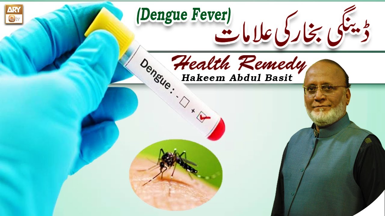 speech in urdu on dengue fever