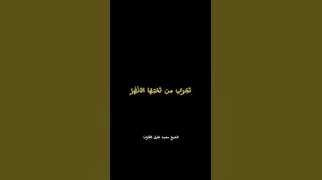 إبداع الشيخ محمد خليل القارئ رحمه الله