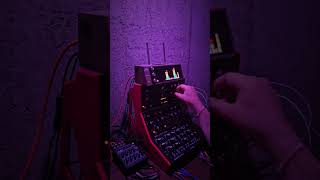 Hypnotic Robot Jam with Moog DFAM and Labyrinth #dawless #music #electronicmusic #modular #live