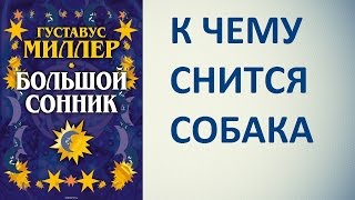 К чему снится собака. Сонник Миллера. Толкование снов.(Смотрите, к чему снится собака по Соннику Миллера. Канал Сонник ТОЛКОВАНИЕ СНОВ посвящен миру снов, вариант..., 2016-03-13T10:24:34.000Z)