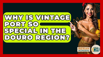 Why Is Vintage Port So Special In The Douro Region? - Iberian Wonders