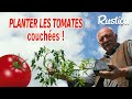 Planter des tomates à l