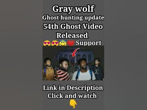 Gray wolf vasu 54th Ghost hunting video updates 😍 | Ghost hunting