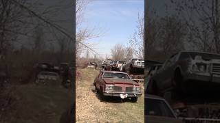 a truck isn't needed when you have a 77 olds
