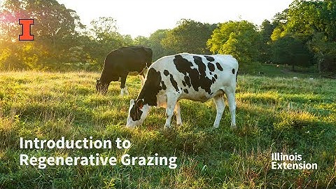 Introduction to Regenerative Grazing