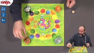 Haba - Filou & Co Les Règles En Moins De 3 Minutes