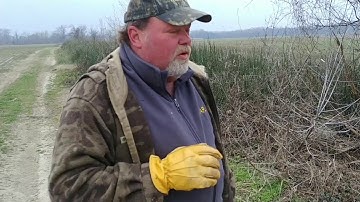 how to snare coyotes in open big fields