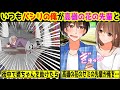 いつもパシリの俺が道で倒れてたおばあちゃんを助けた結果⇒見るだけで幸せだった高嶺の花で美人な同じゼミの先輩が俺の彼女になった件