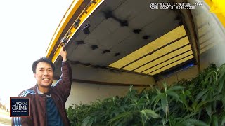 ‘Goodness Gracious’: Cops Shocked to Find 222 Marijuana Plants in Box Truck