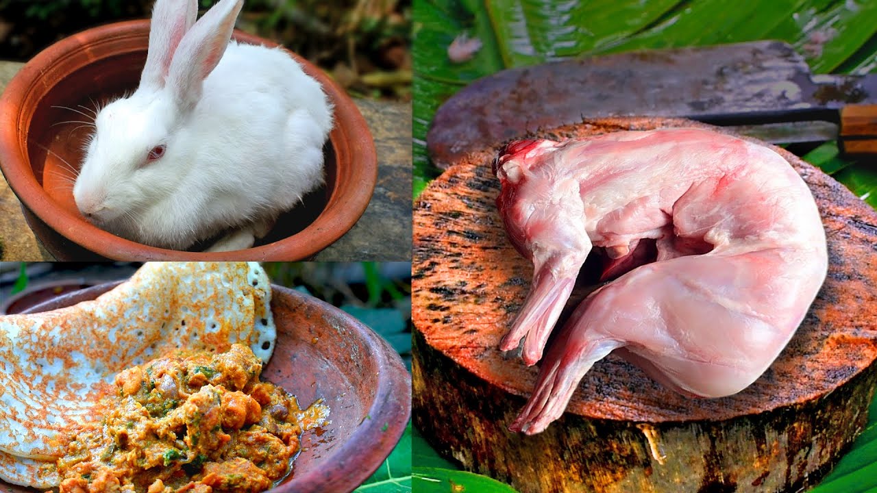 Village Style Spicy Rabbit gravy Muyal Kari Recipe Rabbit Roast